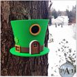 004.jpg Vogelhaus mit Koboldhut