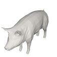 10000.jpg Pig- farm animal