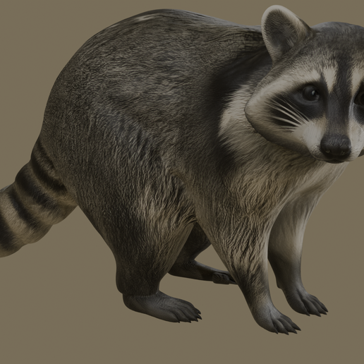 🦝 Raccoon・ STL File for 3D printing・Cults