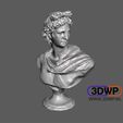 Apollo.jpg STL file Apollo Bust 3D Scan・3D printing model to download