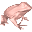model.png Frog
