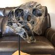 Life size Citipati (Oviraptor) skull and cervical vertebrae