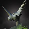1styracbust2.jpg Styracosaurus Bust