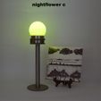 Nightflower-c2.jpg Nightflower-c