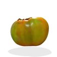 4.jpg TOMATO FRUIT VEGETABLE FOOD 3D MODEL - 3D PRINTING - OBJ - FBX - 3D PROJECT TOMATO FRUIT VEGETABLE FOOD TOMATO