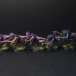 КОСМИЧЕСКИЙ РОЙ И ЖУКИ НИКОЛЕТТИ