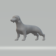 1.png Dachshund Dog 3D print model