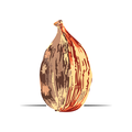 Cardamom