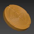 SE5.jpg Wood Slice Stump Cut trunk Tree cross-section