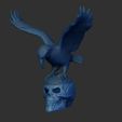 Shop3.jpg Skull with eagle eyes open, hollow inside- bird