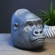 Gorilla-head-Ps5-controller-stand,-Monkey-head-ps5controller-holder,-Gorilla-bust-ps5-controller-Sta.jpg Gorilla head Ps5 controller stand, Monkey head ps5controller holder, Gorilla bust ps5 controller Stand, Perfect Gamer Gift, a295 (1)