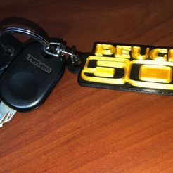 IMG_0908.jpg Peugeot 504 key ring