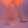 IMG_3478.jpg Jellyfish Desk Lamp [Medusa]