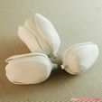 02.jpg flowers: Tulip - 3D printable model