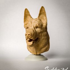 20220108_101812.jpg Datei STL Deutscher Schäferhund Büste/Kopf herunterladen • Modell für den 3D-Druck, SADDEXdesign