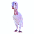 VT.png DOWNLOAD DINOSAUR DINOSAUR Terror DOWNLOAD Bird 3D MODEL Terror Bird Terror Bird ANIMATED - BLENDER - 3DS MAX - CINEMA 4D - FBX - MAYA - UNITY - UNREAL - OBJ - Terror Bird RAPTOR DINOSAUR RAPTOR DINOSAUR DINOSAUR 3D Terror Bird