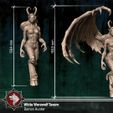 DH_Size.jpg Dämonenjäger - World of Warcraft (Fan-Art)