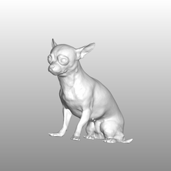 chihuahua.png chihuahua