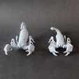 Printed_scorpion_3.jpg 3D file Emperor scorpion for 3D printing - pre supported・3D print design to download