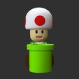 Toad.jpg Mario - TOAD