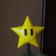 _MG_3983.jpg Super Mario Star tree