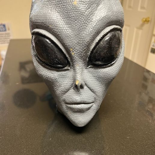 IMG_1716.jpg Cabeza de extraterrestre