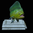 mahi-mahi-model-1-12.png fish mahi mahi / common dolphin trophy statue detailed texture for 3d printing