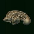 8.jpg Xenomorph Alien biomechanical head