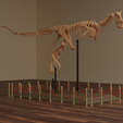 untitled12.png Carnotaurus skeleton 60 cm 3d print