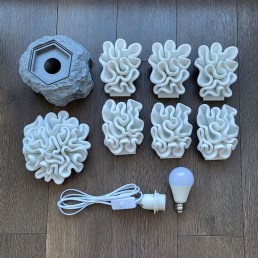 💡 Coral Night Lamp – Modular 3D Printable Lamp (E27 Bulb)・ 3MF File for ...