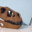 Indoraptor-skull-model-3d-print-30.jpg Indoraptor skull 3d print 30cm