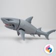 03.jpg Foldable Shark Ver2.0