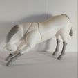 IMG_20190915_173605.jpg Archivo STL Caballo BJD・Objeto imprimible en 3D para descargar