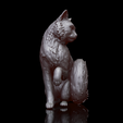 cat.2.png Cat