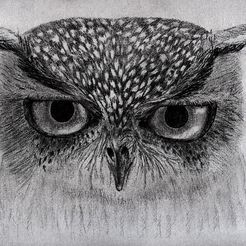 Maries_Owl.jpg Archivo 3D gratis Búho de Marie・Plan de la impresora 3D para descargar