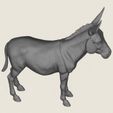 Donkey-07.jpg Donkey