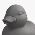 rubber-duck_BODY-v1e.png Многоцветный игривый резиновый утенок