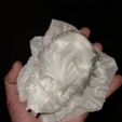'Breathless' Skullpture High-Resolution 2M