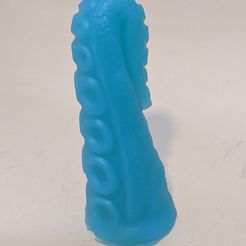 PXL_20231116_172743103.jpg Tentakel