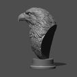 27.jpg Eagle