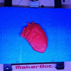 anatomical_heart1_AnnaKaziunasFrance_display_large.jpg Fichier STL gratuit Coeur anatomique・Design à télécharger et à imprimer en 3D, Khuzural
