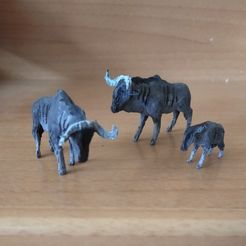 familia1.jpg wildebeest family