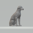 1.png Labrador Retriever Free 3D print model