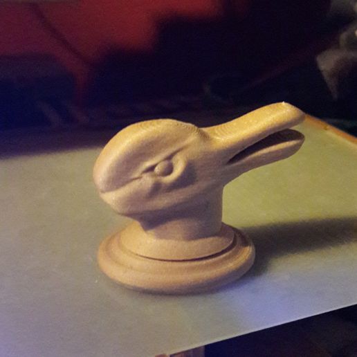 20190506_120313.jpg Download free STL file duck rabbit • 3D printer template, micaldez