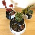c42a3310c8c977ade2ad593ae198551d_preview_featured.jpg Free STL file Customizable Yin-Yang Planter / Container・Template to download and 3D print