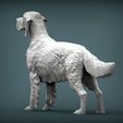 English-Setter5.jpg 3D-Datei English Setter 3D-Druckmodell・Modell zum Herunterladen und 3D-Drucken