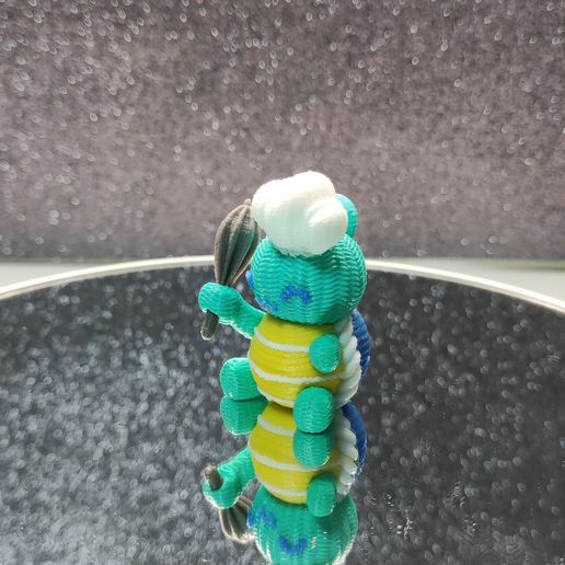 IMG_20241104_192838.jpg La tortuga chef (llavero)