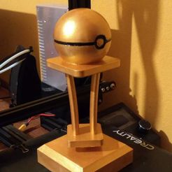 Trofeo.jpeg Pokémon trophy