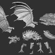 Zbrush-Parts.jpg Junger roter Drache