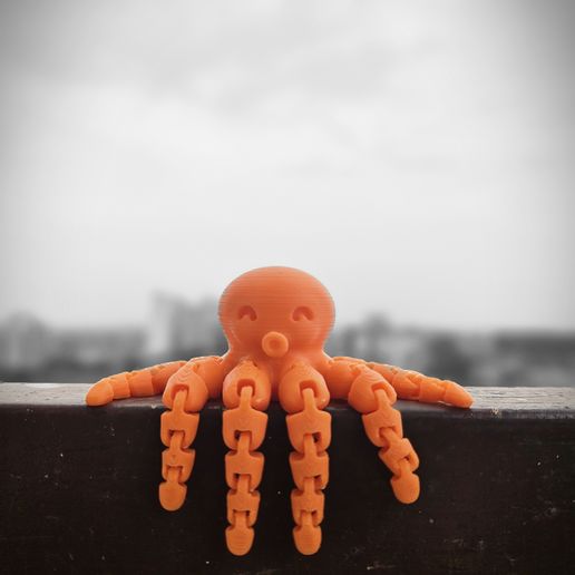 Cute Mini Octopus